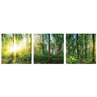 levandeo 3er Set Wandbild je 30x30cm Glasbild Wald Natur Sonne Landschaft Wanddeko Baum Wandobjekt
