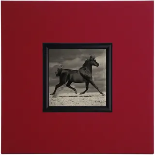 Mini Kunstdruck auf Papier (Poster) Schwarzes Pferd, mit Rahmen aus Holz und weißem Eco-Leder, ohne Glas, 40x40x1.5 cm, ErgoPaul, IGP5285-E1-80CR10-40x40x1.5