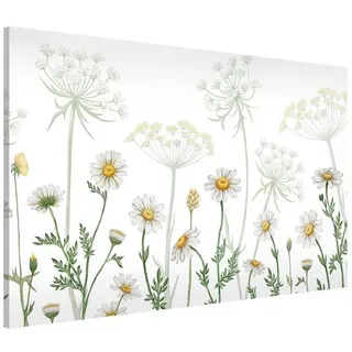 Bilderdepot24 Magnettafel Küche weiss Schafgarbe und Gänseblümchen, (1-tlg., Magnetboard Pinnwand für die Wand - metallische Tafel für Magnete), Magnetwand groß mit Motiv Büro Memoboard magnetisch Querformat weiß 60 cm x 40 cm
