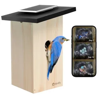 Birdfy Vogelhaus Birdhouse Ebony Lite, Nistkasten mit KI-Kamera, Solar bunt