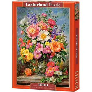 Castorland Juni Blumen 1000 Teile
