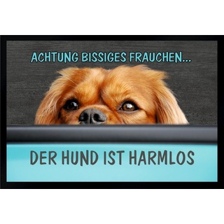 Fußmatte Schmutzfangmatte Frau bissig Hund harmlos F256, Ladreas, 75x50 grau 75x50 - 50 cm x 75 cm
