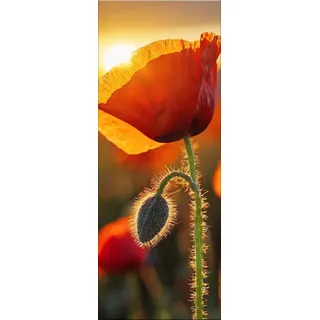 artissimo Bild aus Glas 30x80 cm Blumen AG5473A – modernes Glasbild Wandbild Hochformat, Wanddeko Wohnzimmer rot goldgelb, Mohnblüte Sonnenuntergang