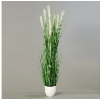 Kunstgras Pampasgras im weißen Dekotopf DP Kunstpflanzen Kunstgras künstliches Gras, Seidenblumen Roß, Höhe 170 cm 170 cm