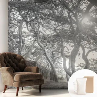 Tapete Vliestapete Mit Kleber Modern - Wanddeko Für Küche - Klebefolie Wand - Luxus Look Stimmungsvoller Wald 250x250 Cm