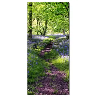 Wallario Selbstklebende Türtapete Blaues Hasenglöckchen im Wald - Türposter 93 x 205 cm Abwischbar, rückstandsfrei zu entfernen