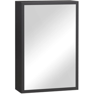kleankin Spiegelschrank mit Spiegelglastür schwarz 40L x 15B x 60H cm