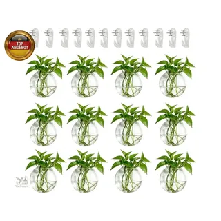 Wandvase für Pflanzen Innen Glas: 10 cm Blumen Wandbehang Glasvase für W