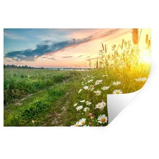 MuchoWow Wandsticker Blumen - Gänseblümchen - Natur - Sonne - Horizont (1 St), Wanddeko, Aufkleber, Wandtattoo, 120x80 cm bunt 120 cm x 80 cm x 0.1 cm