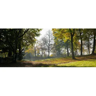 hansepuzzle 48034 - Wald Panorama-Puzzle 2000 Teile - Natur Motiv mit hochwertiger Aufbewahrung: Kartonbox und wiederverschließbarem Beutel - Format 116,6 × 46,7 cm