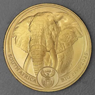 Goldmünze 1oz Elefant 2025 Big Five (Südafrika)