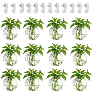 Wandvase für Pflanzen Innen Glas 10 cm Blumen Wandbehang Glasvase für Wohnzim...
