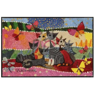 Salonloewe Fußmatte Fußmatte 50x75 Rosina Wachtmeister Fasce di colore, Eingangsmatte normal, Höhe: 500 mm bunt