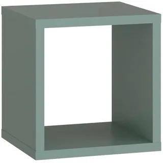 Forte Regalwürfel 38,2 x 38,3 x 32,9 cm Grün