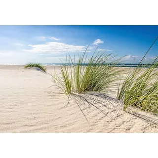 Papermoon Fototapete DÜNEN-NATUR NORD SEE SAND STRAND MEER WÜSTE LANDSCHAFT bunt 2,5 m x 1,86 m