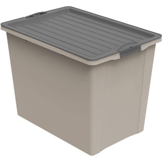 Rotho Compact Aufbewahrungsbox 70l mit Deckel und Rollen, Kunststoff (PP recycelt) BPA-frei, cappuccino/anthrazit, A3/70 Liter (57,0 x 39,5 x 43,5 cm)
