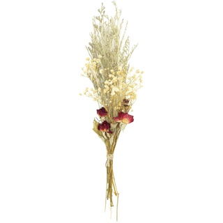 HEITMANN DECO Trockenblumen-Strauß Rosen - Natur/rot - ca. 48cm