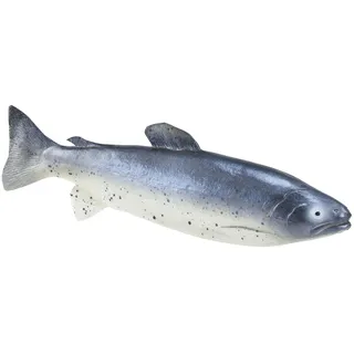Künstlicher Deko-Fisch 31cm - Täuschend Echte Forelle Lebensmittelattrappe für