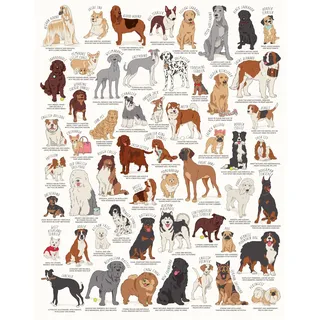 Abrams & Chronicle Dog Lover's 1000 Piece Jigsaw Puzzle
