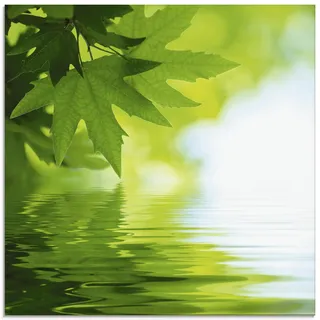ARTland Wanddeko Glasbilder Wandbild Glas Bild einteilig Quadratisch Natur Wald See Pflanzen Wasser Baum Blätter T5TM