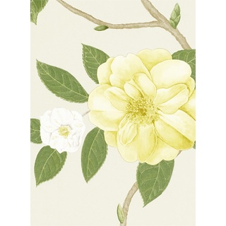 Blumentapete Christabel von Sanderson - Yellow/ Ivory