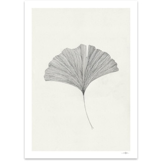 The Poster Club - Ginkgo Leaf von Ana Frois, 50 x 70 cm