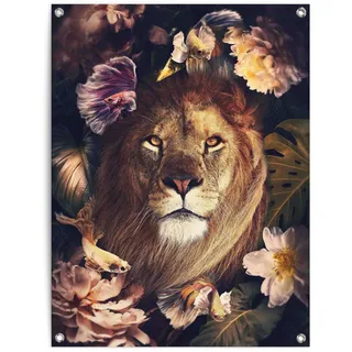 Poster REINDERS "Dschungel-Löwe", braun (farbe bild(er): braun), B:60cm H:80cm T:0,1cm, Leinwand, Bilder, Poster, Outdoor für Garten oder Balkon