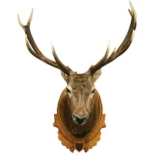 1art1 Hirsche Hirschkopf-Trophäe Wand-Tattoo | Deko Wandaufkleber für Wohnzimmer Kinderzimmer Küche Bad Flur | Wandsticker für Tür Wand Möbel/Schrank 75x60 cm