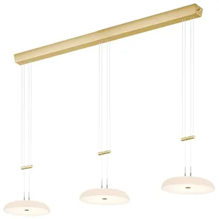 BANKAMP BOWL Pendelleuchte, LED, 2345/3-01,