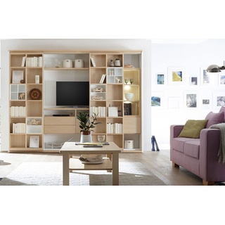 Solution Bücherregal mit TV-Fach und Schieberegalen in vielen Farben
