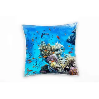 Paul Sinus Art Tiere, Fische, Korallen, blau, orange, bunt Deko Kissen 40x40cm für Couch Sofa Lounge Zierkissen - Dekoration zum Wohlfühlen
