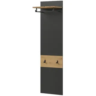 Garderobenpaneel   , grau , Holzwerkstoff , Maße (cm): B: 45 H: 165