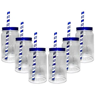 6 x Absolut Glas Gläser Jar Strohhalm Acryl mit Deckel Gastro Bar Deko NEU