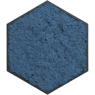 ebenkunst Hexagon Moosbild – Wanddeko aus schwarzem MDF | Schwarz durchgefärbtes MDF, konserviertes Islandmoos, ca. 19,6 x 22,6 cm, 6 Moosfarben, Made in Germany