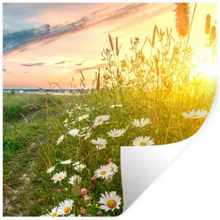MuchoWow Wandsticker Blumen - Gänseblümchen - Natur - Sonne - Horizont (1 St), Wandaufkleber, Selbstklebend, Wohnzimmer, 100x100 cm bunt 100 cm x 100 cm x 0.1 cm