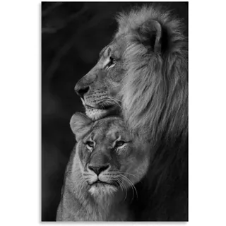 Tierposter, Motiv: Löwenpaar, Amoureux, dekoratives Gemälde, Leinwand, Wandkunst, Wohnzimmer, Poster, Schlafzimmer, Malerei, 60 x 90 cm