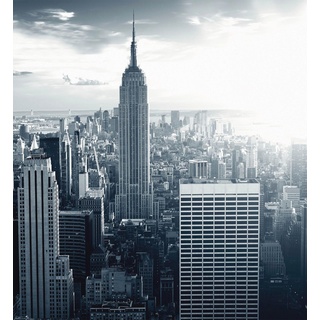 Vliestapete WALL-ART "The Empire State Building" Tapeten B/L: 2,4 m x 2,6 m, grau Tapeten