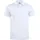 Polo XS