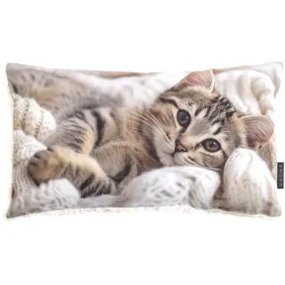 Magma gefülltes Kissen Pets 'Cat' 30 x 50 cm Natur