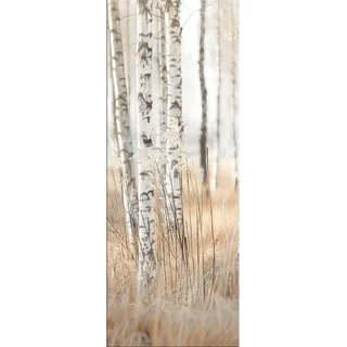 artissimo Glasbild, Beige, Glas, Baum/Pflanze/Natur, Rechteckig, 30x80 cm, Bilder und Zubehör, Wandbilder, Glasbilder