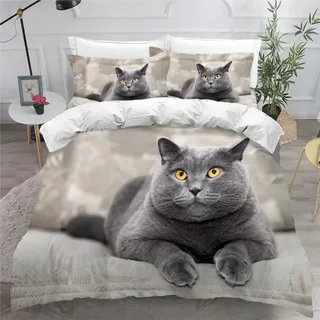 DILANI Bettwäsche 155x220 Katze Bettwäsche-Set 3 Teilig 3D Druck Süße Tiere Bettbezug Weich Mikrofaser Bettbezüge mit Reißverschluss und Kissenbezug 80x80cm für Erwachsene Kinder