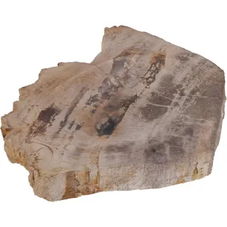 Exotische Seifenschale aus versteinertem Holz, handgefertigt, Unikat | Einzigartiges Design, schöne Maserung, aus Indonesien, individuell, dekorativ, natürliche Materialien