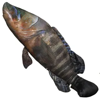 champracer Fisch Kuscheltier Weiches Fischkissen 3D Simulation tropisches Fischkissen 3D-Kissen Niedlich Stofftier Plüschtier Dekokissen (100cm,Zackenbarsch)