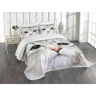 ABAKUHAUS Katze Tagesdecke Set, Digital-Nette Reizende Katze, Set mit Kissenbezügen Romantischer Stil, für Doppelbetten 220 x 220 cm, Graue Elfenbein