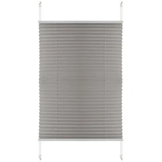 euroharry Plissee Plisse Rollo Plisseerollo Easyfix ohne Bohren Jalousie Pleated Blind grau 85 cm x 220 cm