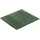 55 x 65 cm evergreen
