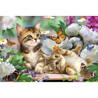 Schmidt Spiele Verspielte Katzenbabys