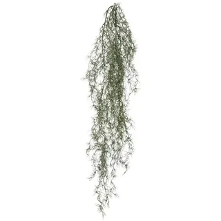 Gasper Kunstpflanze Tillandsia-Hänger FIORA, L 120 cm - Grau - Grün - Kunststoff