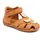 cognac 24