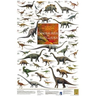 Planet Poster Editions Dinosaurier aus Trias und Jura Poster laminiert Korck